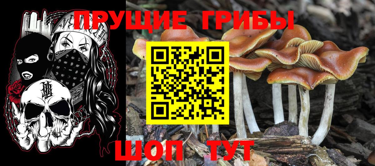 Галлюциногенные грибы MAGIC MUSHROOMS Нижний Тагил